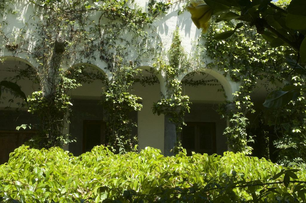 Hotel Casa Mision De San Miguel San Miguel de Allende Exteriér fotografie